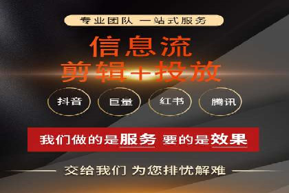 某某SEM服务公司成功案例：从数据出发的营销策略